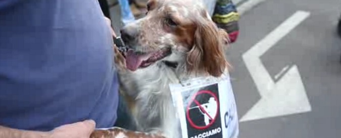 Copertina di Michela Brambilla apre a Milano la campagna elettorale del Movimento Animalista: “Sentirete parlare di noi”