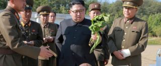 Copertina di Corea del Nord, Kim Jong-un battezza una nuova verdura “ricca di proteine” per la festa del raccolto