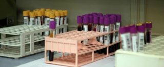 Copertina di Chikungunya, dieci nuovi casi ad Anzio. Regioni si mobilitano per emergenza sangue nel Lazio. Cri: “Donate”