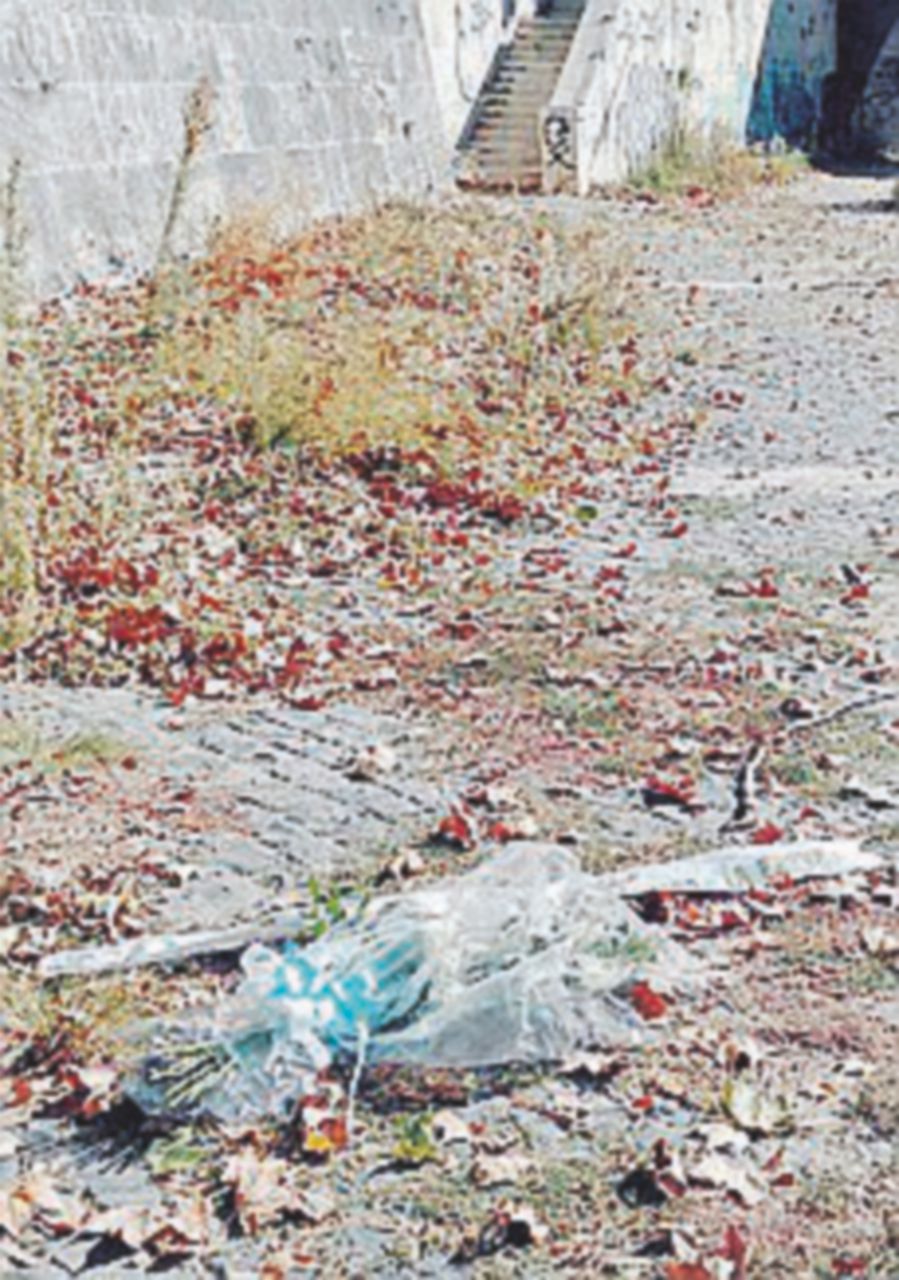 I laziali antirazzisti: “Anche i nostri fiori buttati nel Tevere”