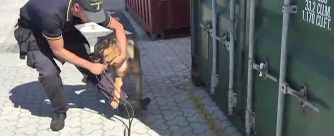 Copertina di Il cane fiuta la droga e smaschera la tecnica del ‘rip-off’. La Gf sequestra cocaina per 65 milioni di euro