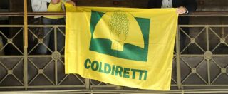 Copertina di Sicilia, Coldiretti: “Presidente di Enna deciso a tavolino da vertici regionali”