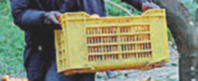 Taranto, 35 lavoratori romeni schiavizzati: 1,50 euro all’ora per raccogliere la frutta