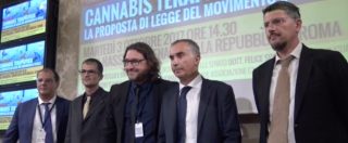 Copertina di Cannabis terapeutica, il tempo stringe. M5s: “Ecco soluzione per garantire diritto che già c’è: assurdo non votarla”