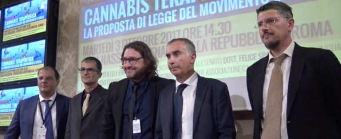 Copertina di Cannabis terapeutica, il tempo stringe. M5s: “Ecco soluzione per garantire diritto che già c’è: assurdo non votarla”