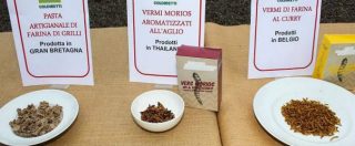 Copertina di Vermi alla paprika e farfalle fritte: Coldiretti denuncia la legge che porta gli insetti sulle tavole italiane