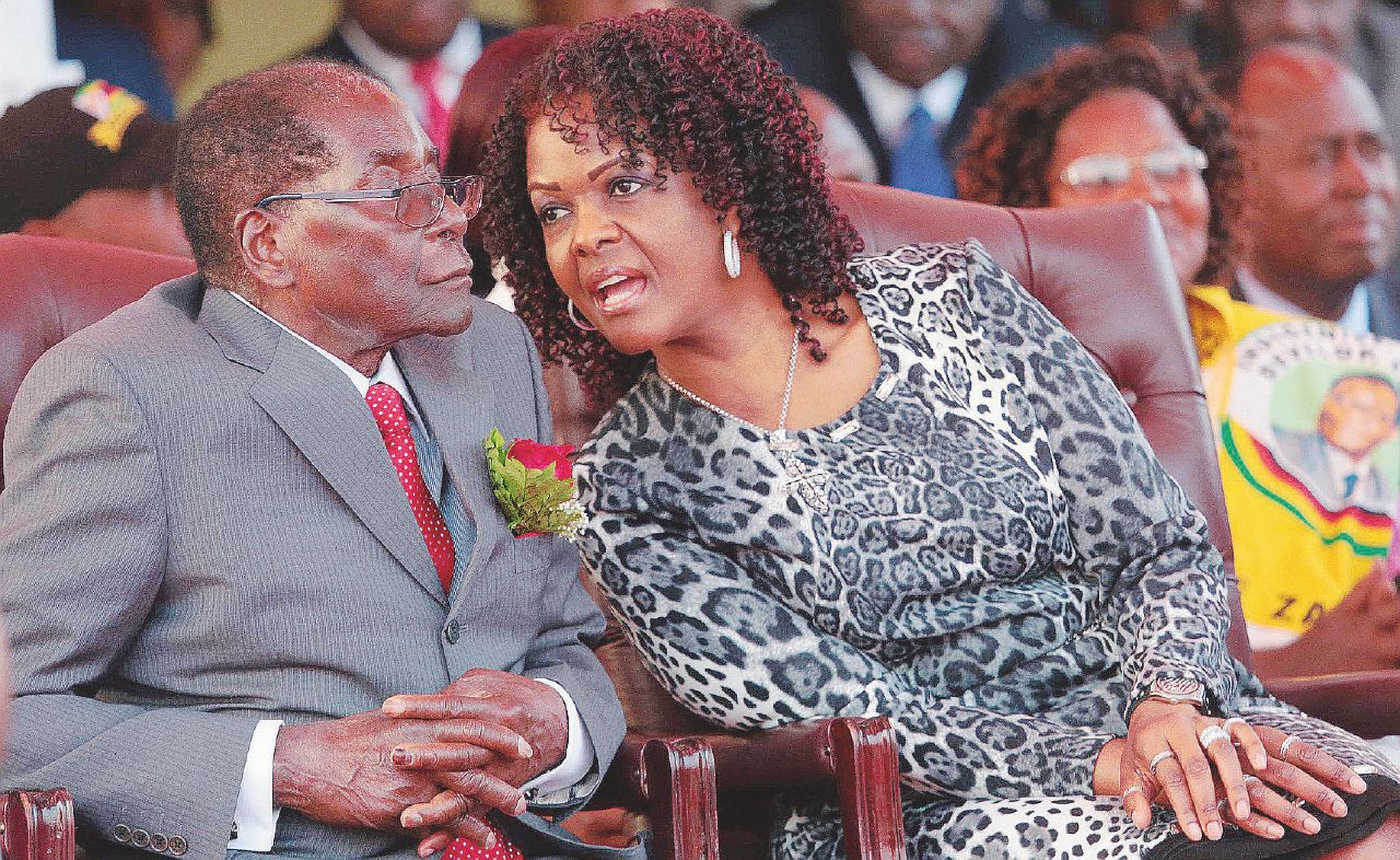 Robert&Grace, il crepuscolo degli elefanti vestiti Gucci