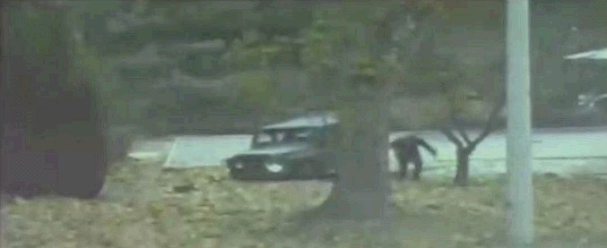 Copertina di Corea del Nord, violato l’armistizio: dissidente inseguito e colpito nella zona demilitarizzata. Il video diffuso dall’Onu