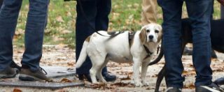 Copertina di Milano, donna sgozzata nel parco di Villa Litta mentre passeggiava col cane. Ipotesi rapina, ma rimangono aperte tutte le piste