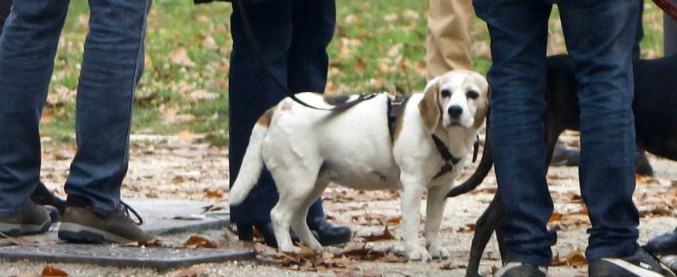 Milano, donna sgozzata nel parco di Villa Litta mentre passeggiava col cane. Ipotesi rapina, ma rimangono aperte tutte le piste