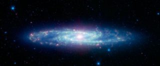 Copertina di Le stelle “aliene” sorprendono: orbita ovale e preferenza per una direzione