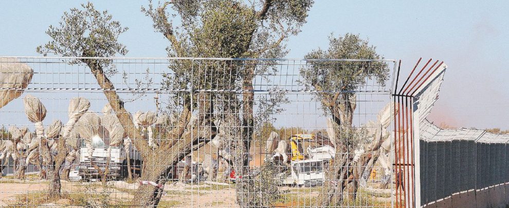 Tap, con una firma a Roma evitati i controlli ambientali Tap, con una firma a Roma evitati i controlli ambientali