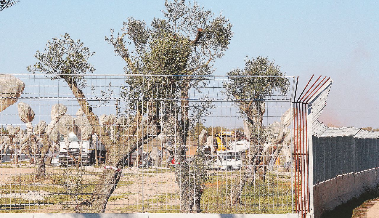 Copertina di Tap, con una firma a Roma evitati i controlli ambientali