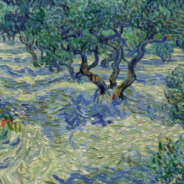 Van Gogh, nel suo famosissimo “Olive Trees” c’è una cavalletta intrappolata (da 128 anni)
