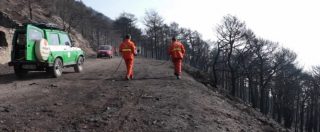 Copertina di Incendi, la denuncia dell’ex forestale: “Ecco perché con la riforma Madia è più difficile spegnere i roghi”