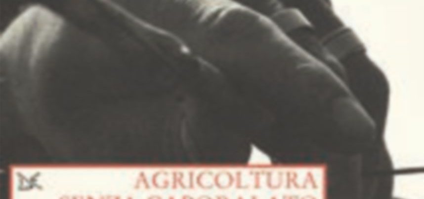 Agricoltura senza caporalato
a cura di
F. Di Marzio Pagine: 200
Prezzo: 29
Editore: Donzelli Perché nessuno riesce a sradicare davvero il caporalato