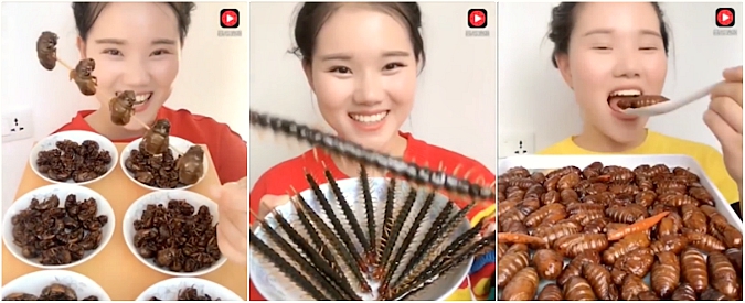 Copertina di Insetti, se vi fanno schifo non cliccate. La vlogger si sfonda di vermi, scorpioni e millepiedi come fossero caramelle