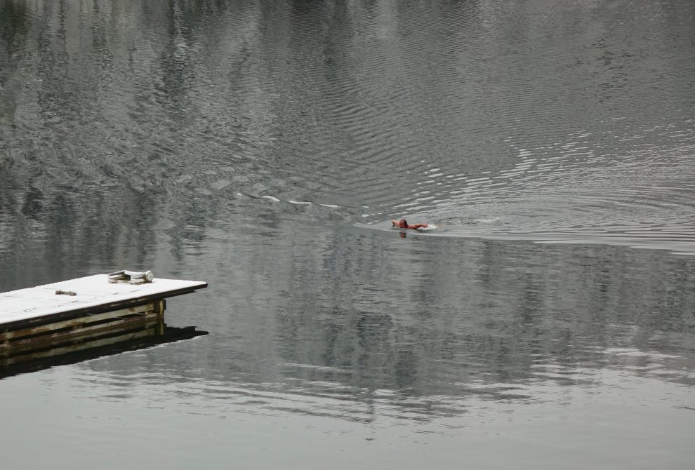 Il lago Hecht è balneabile…perfino d’inverno.