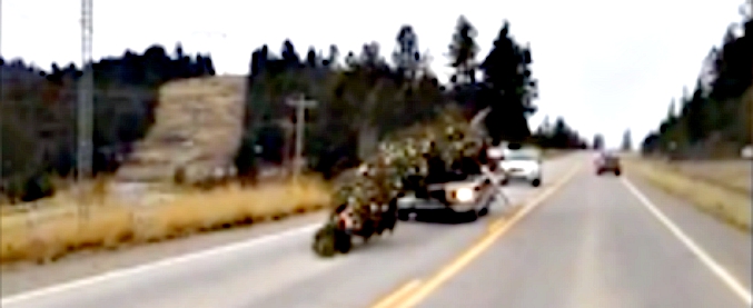 Copertina di Alberi di Natale, altro che ‘Spelacchio’. Quello caricato sul tettuccio di quest’auto è imbarazzante