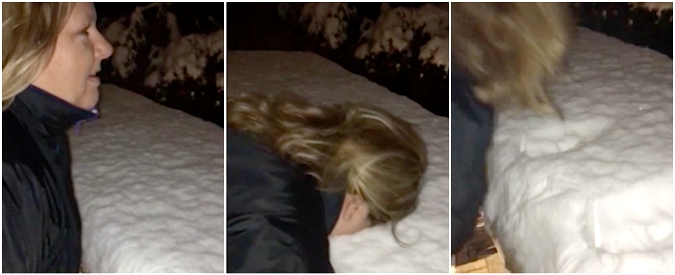 Copertina di Affonda la faccia nella neve, ma quando la solleva non si riconosce. Il calco rivela ‘The Donald’, giudicate voi