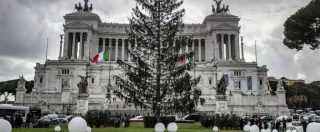 Copertina di Roma, Comune: “Spelacchio è morto”. L’azienda che ha fornito l’albero di Natale: “Da qui è partito in salute”