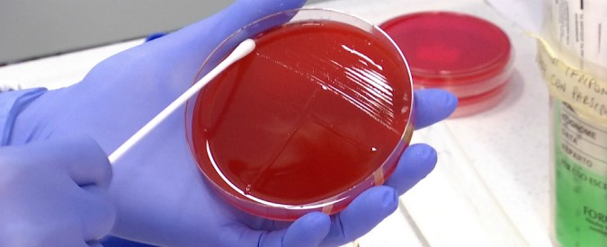 Copertina di Un piatto di futuro, lo speciale di SkyTg24 sull’alimentazione che lancia l’allarme sui batteri resistenti agli antibiotici