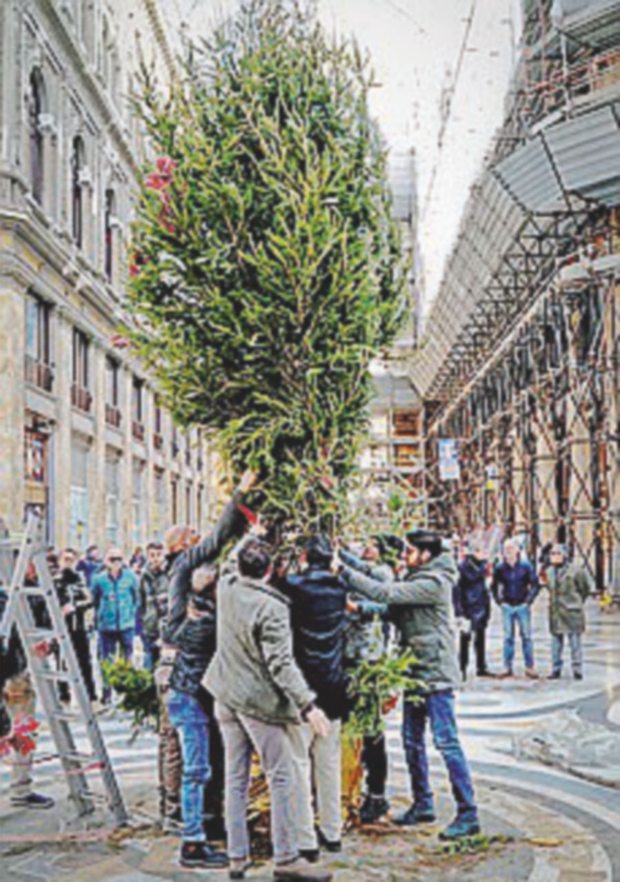 Napoli, il ritorno dell’albero rubato in Galleria Umberto Napoli, il ritorno dell’albero rubato in Galleria Umberto