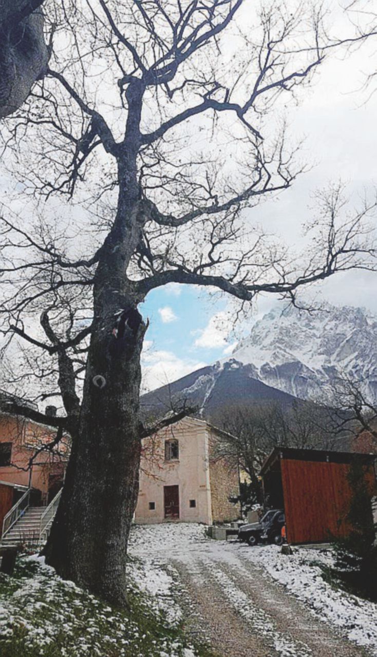 - La quercia di Castelli (Teramo) - La quercia resta pericolante perché la Forestale non c’è più e tocca al ministero abbatterla