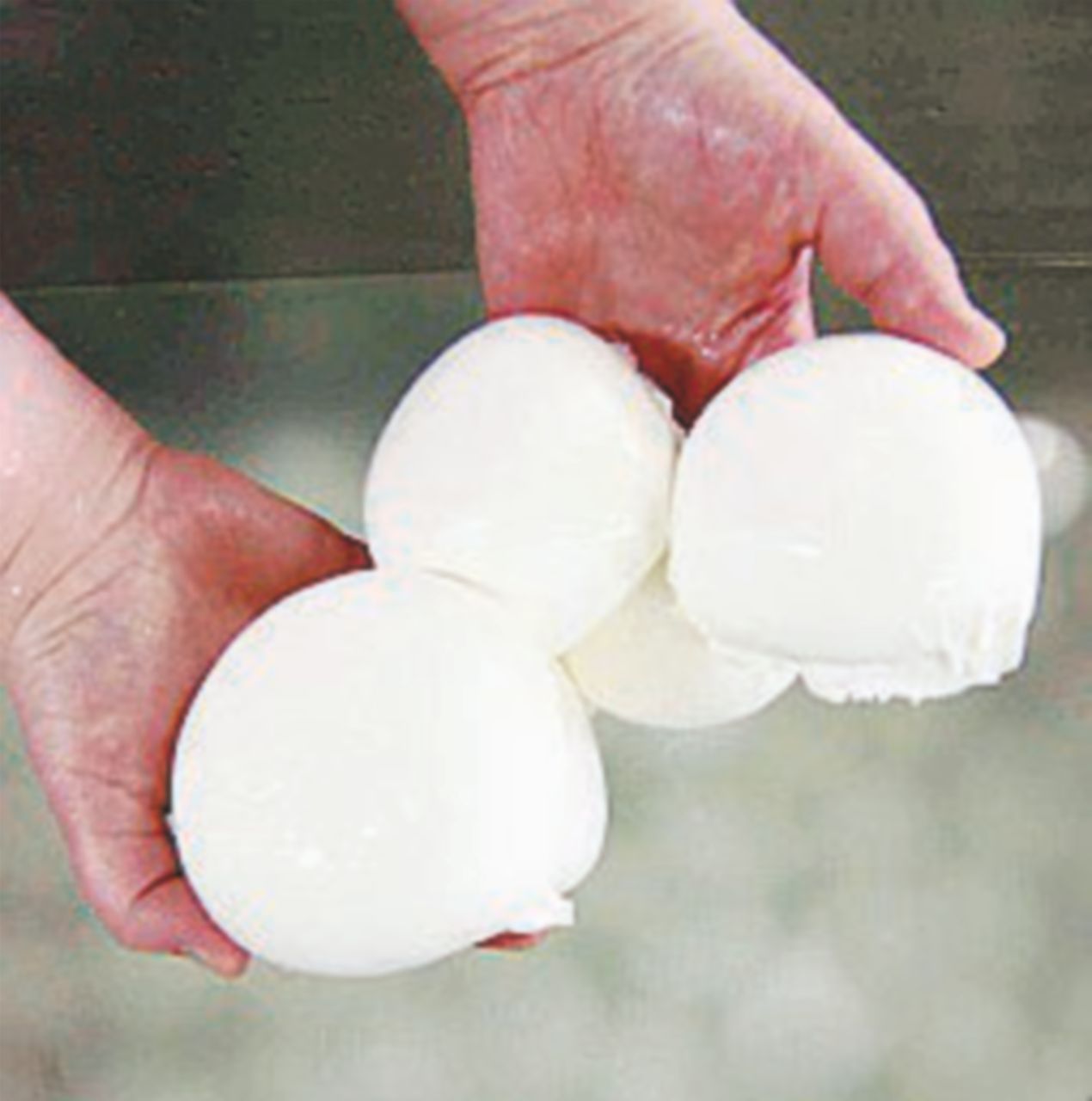 Da “radicale” a “mozzarella”: tutte le parole sotto sequestro Da “radicale” a “mozzarella”: tutte le parole sotto sequestro
