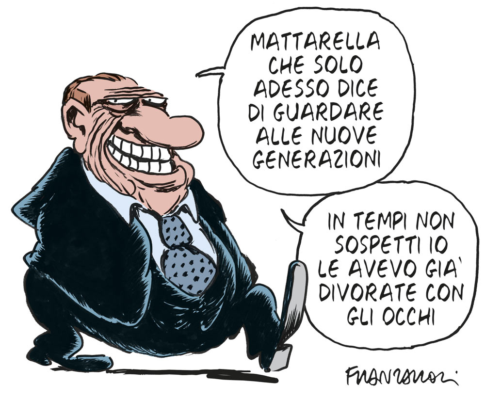 Copertina di La vignetta di Franzaroli