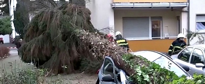 Copertina di Eleanor, la tempesta si abbatte anche sulla Germania: alberi sradicati a Colonia