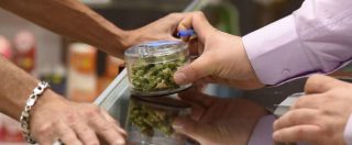 Copertina di Legalizzazione droghe leggere, l’Asia è pronta a dare il via al commercio di marijuana per scopi terapeutici