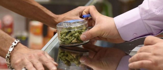 Cannabis, il Cile dice sì a quella casalinga. Si potrà coltivare con ricetta medica. Esultano le associazioni, critici gli esperti
