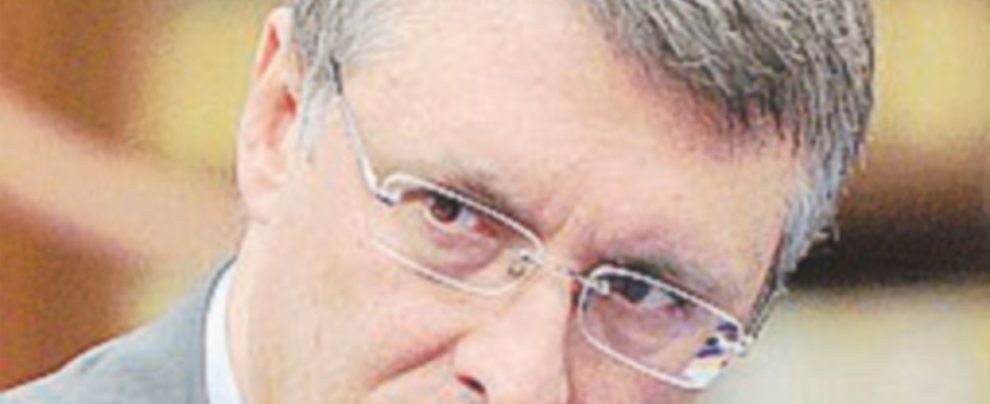 È rimorto Spelacchio e Cantone adesso indaga È rimorto Spelacchio e Cantone adesso indaga