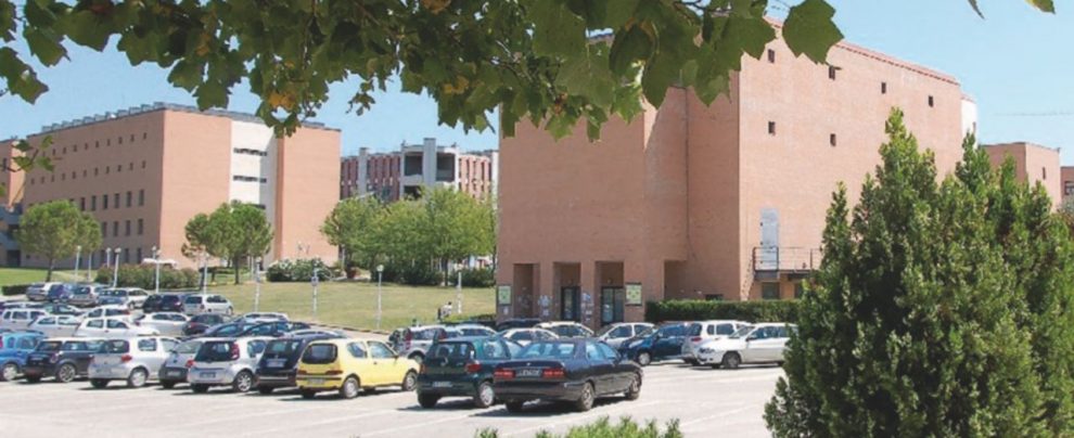 Atenei, l’eccellenza è solo al Nord: perché era già tutto previsto Atenei, l’eccellenza è solo al Nord: perché era già tutto previsto