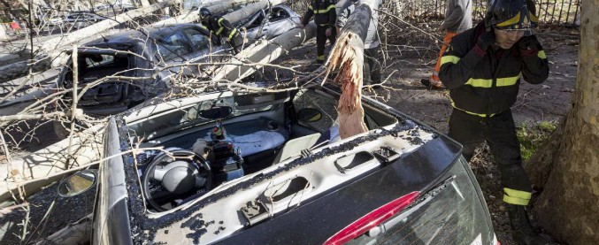Copertina di Maltempo, allerta vento: un morto a Crotone. Alberi in strada a Roma. Collegamenti via mare interrotti