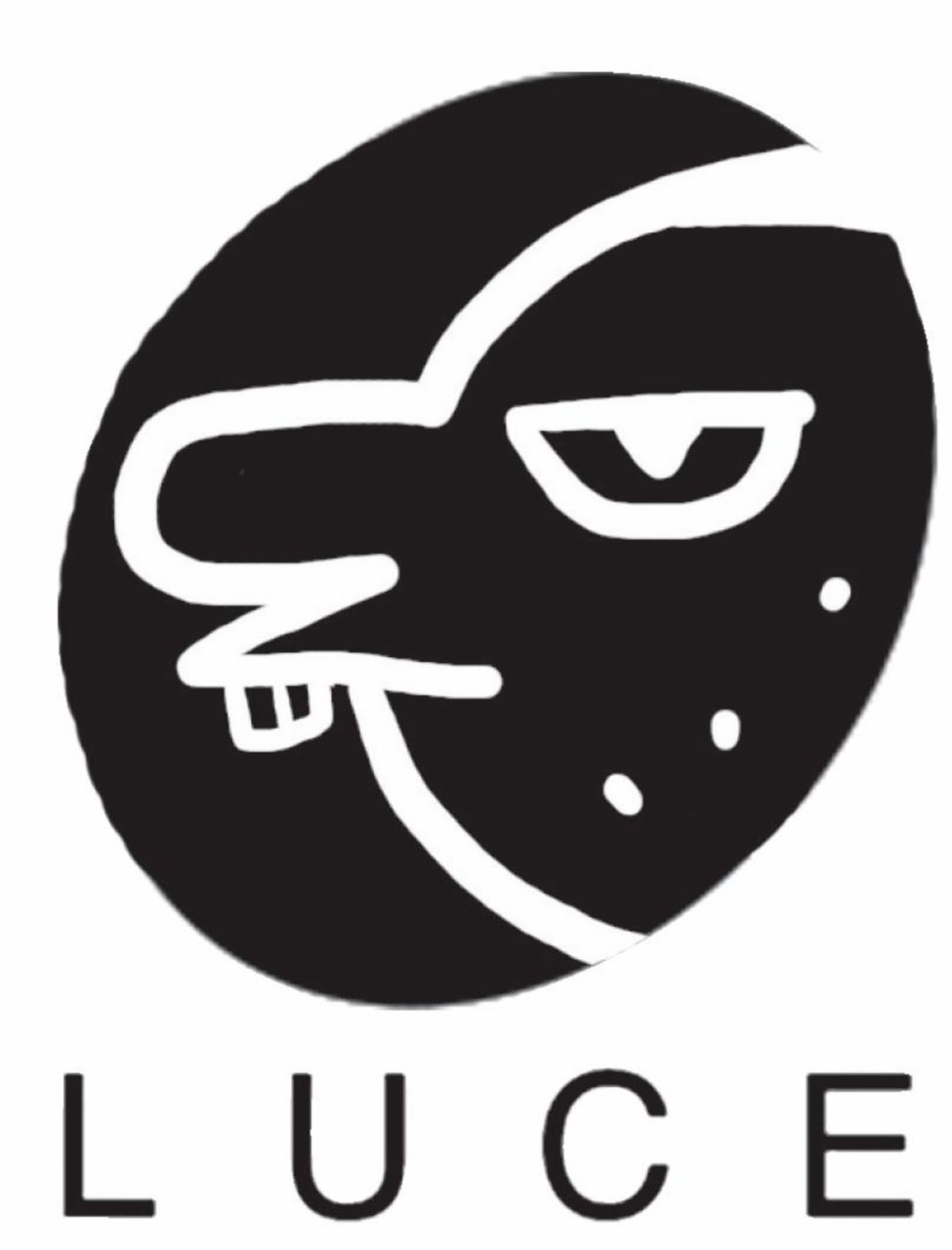 Copertina di Per fortuna la direzione Pd parte in orario