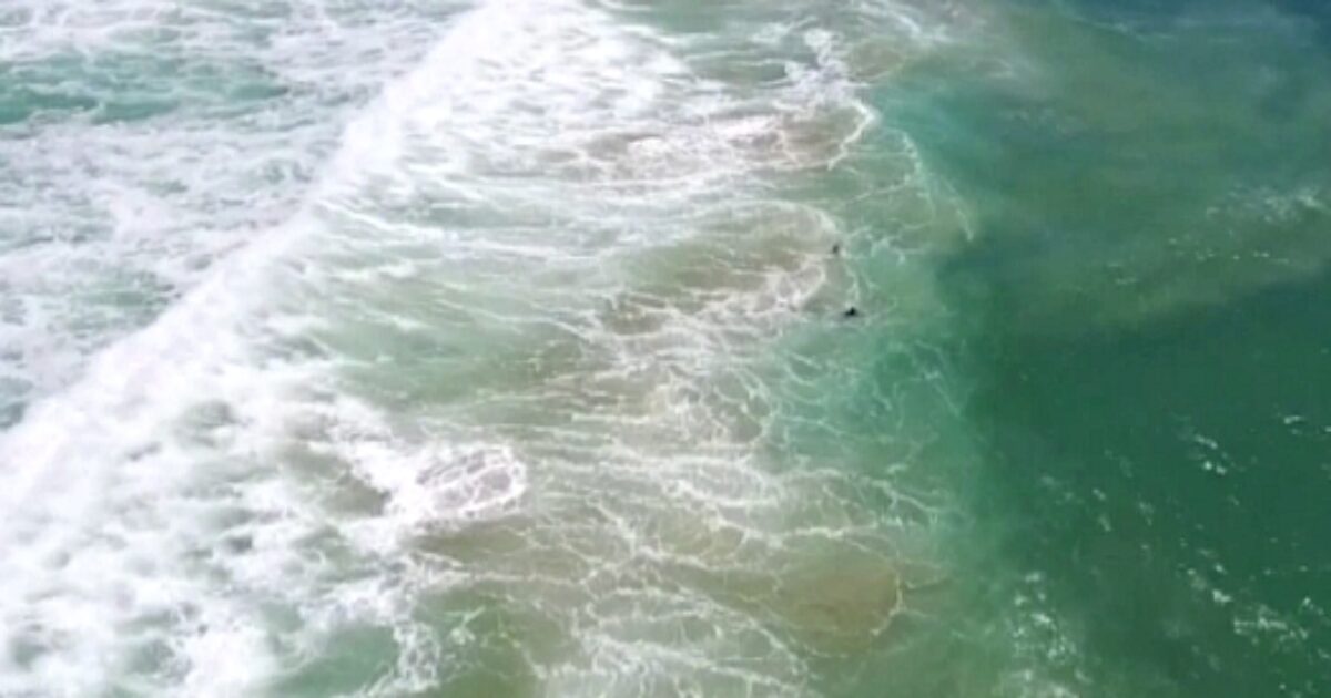 Un’onda potente schianta e uccide quattro nuotatori mentre erano in piscina: terrore e paura a Tenerife