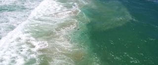 Copertina di Come ti salvo dalle onde di tre metri con un drone. Il video in soggettiva del salvataggio sulla costa australiana