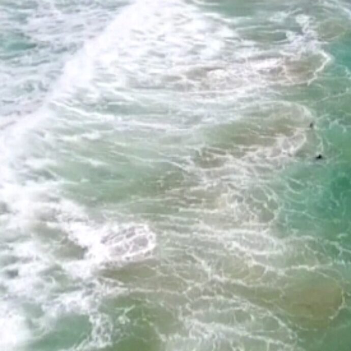 Un’onda potente schianta e uccide quattro nuotatori mentre erano in piscina: terrore e paura a Tenerife