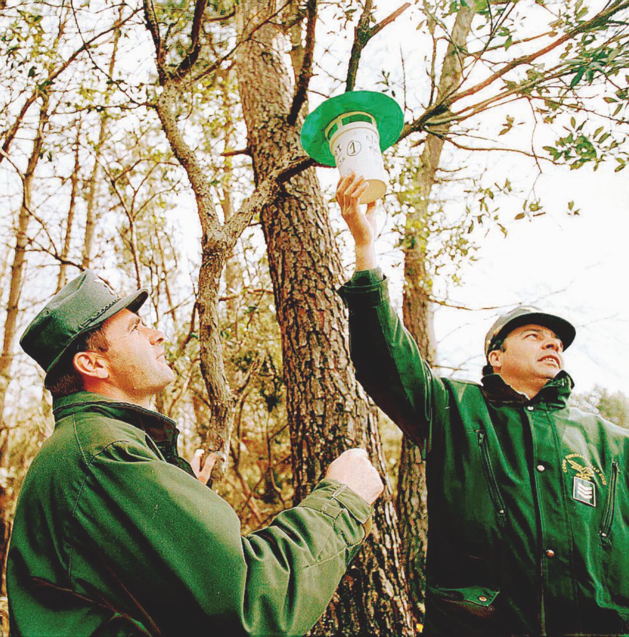 Abolire i Forestali non fa risparmiare: lo dice il governo