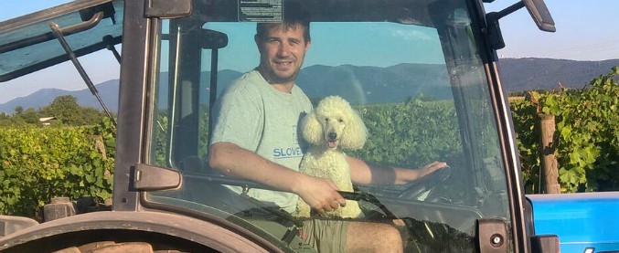 Copertina di “Niente scrivania e ufficio. Ho scelto di lavorare in campagna per coltivare un superfrutto”