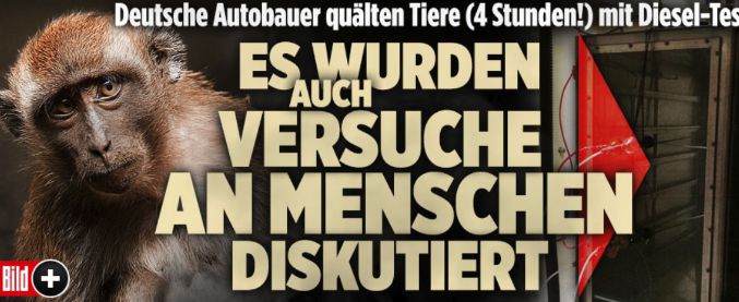 “Test sulle scimmie per provare effetti dei gas di scarico” di Bmw, Daimler e Volkswagen