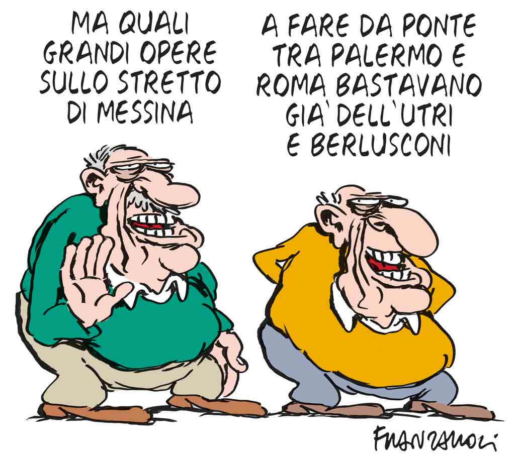 Copertina di La vignetta di Franzaroli