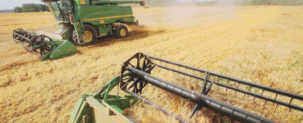 Glifosato nella pasta, adesso si combatterà con l’etichetta Glifosato nella pasta, adesso si combatterà con l’etichetta