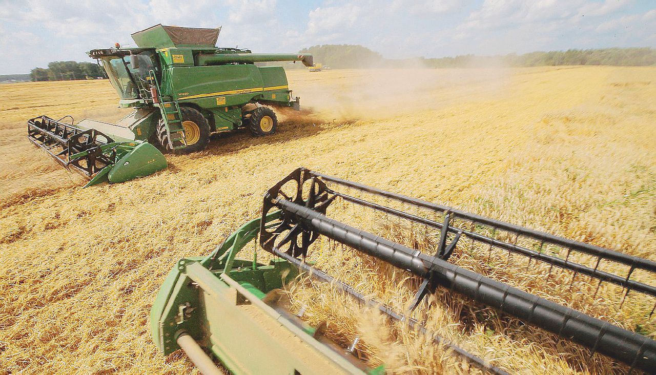 Glifosato nella pasta, adesso si combatterà con l’etichetta