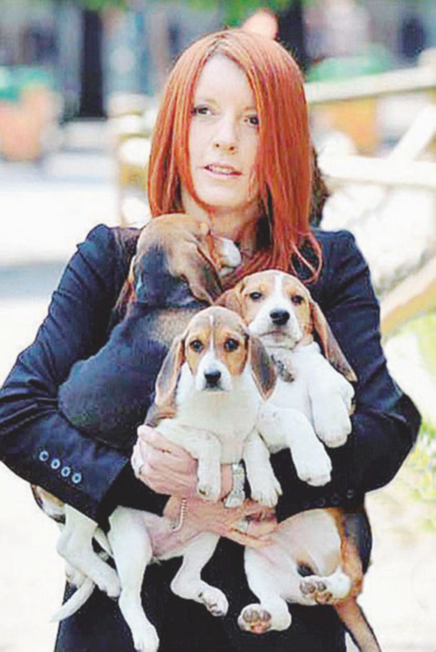 Problemi nelle “carte”: il centrodestra rischia di regalare 30 seggi a Pd e M5S