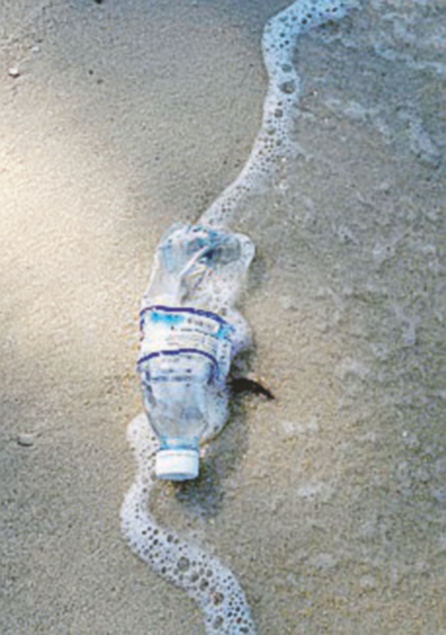 Allarme microplastica negli oceani: a rischio anche balene e squali