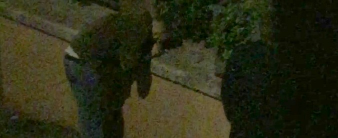 Copertina di Roma, sniffare a piazza Navona. La compagnia beccata a pippare in pieno centro senza curarsi di occhi indiscreti