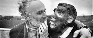 Sesso, Croce rossa e antifascismo: era Remo Remotti – Ho rubato la marmellata